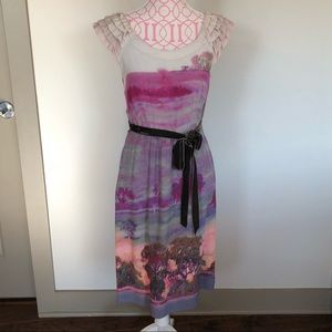Beautiful feminine Anthropologie dress with belt